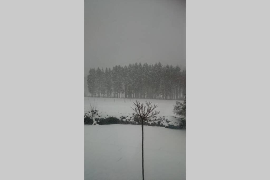 Ruhe Oase Mit Tollem Fernblick Inmitten Der Natur Limbach  Екстериор снимка